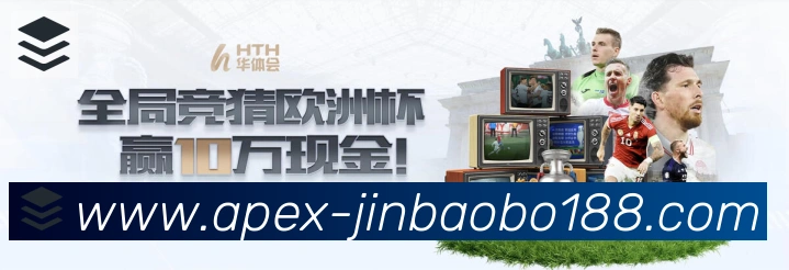 未来规划